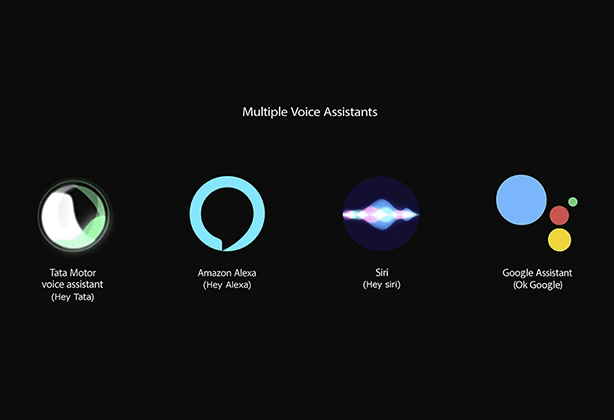 Voice control interface with Siri and Google Assistant in Tata Curvv